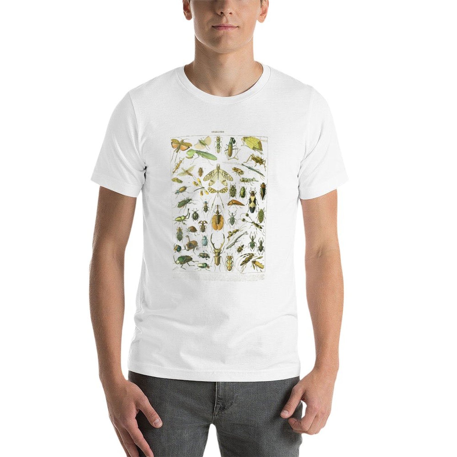 Футболка Vintage Insect Collec – обзор и цена Collectible Vintage T Shirts